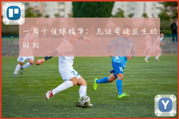 一周十佳球精华:见证奇迹发生的时刻