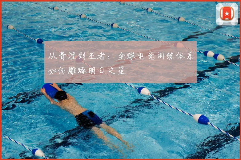 从青涩到王者,全球电竞训练体系如何雕琢明日之星